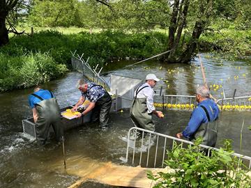 Smiley Race 2026 - News