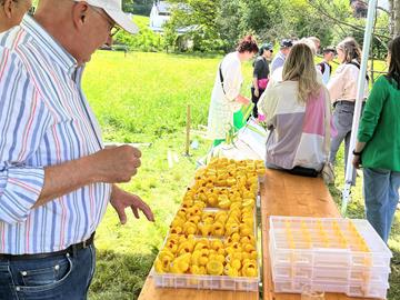 Smiley Race 2026 - News