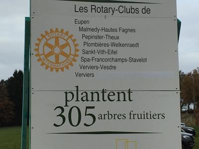 Rotary Clubs pflanzten 305 Bäume